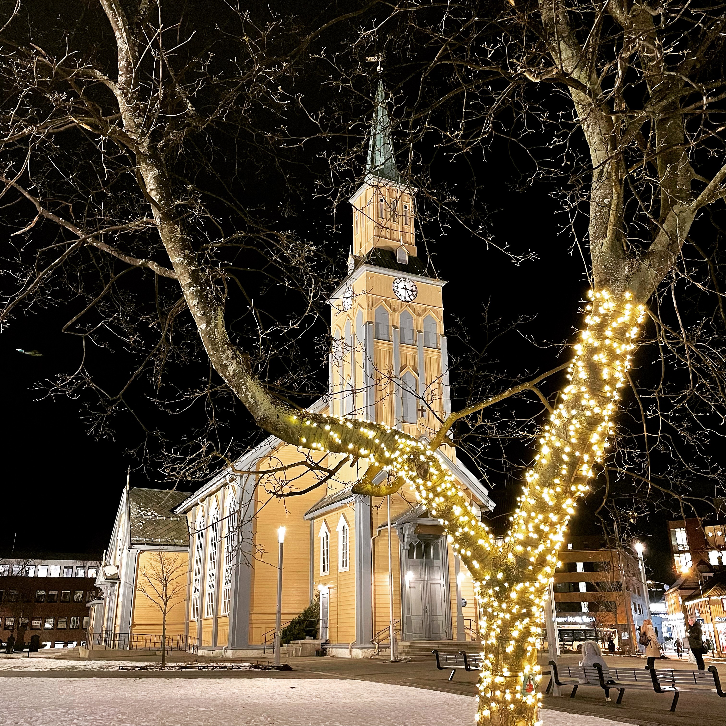 Bilde av kirken i mørket bak tre med lyslenke